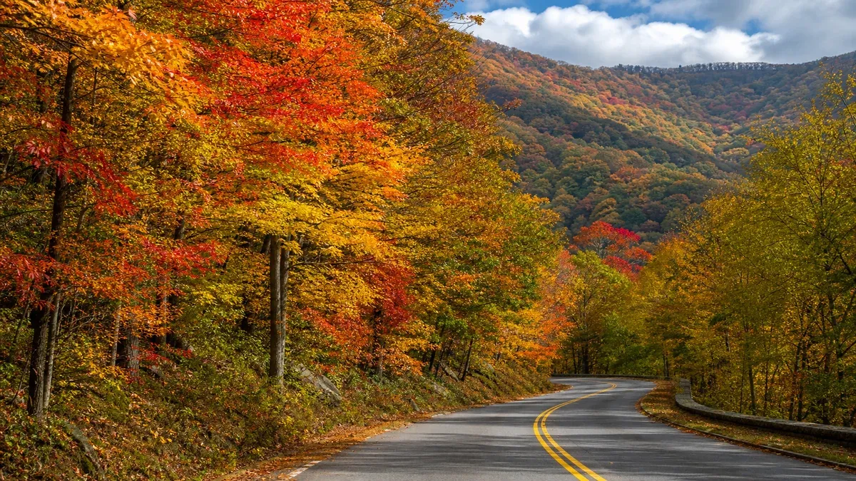 Travel Seasons scenic highway guide illustration